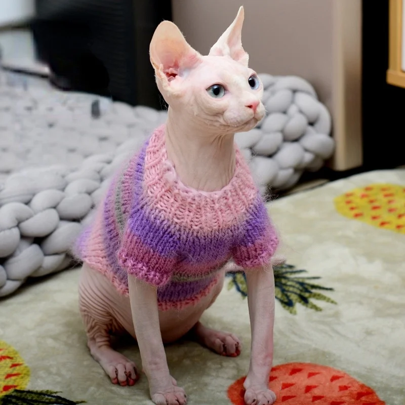 Sphinx gato hairless roupas de caxemira gatinho camisola de gato macio