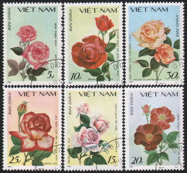 Vintage Flower Postage Stamps  1960s flower stamps from Russia