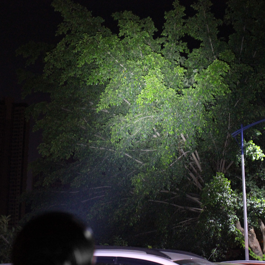 à Prova Dwaterproof Luz da Lâmpada de Acampamento Água t6 Led Lanterna 5 Modos Tocha 2665018650 Lanternas Táticas 8000 lm 24x Xml 8 Luzes e Iluminação