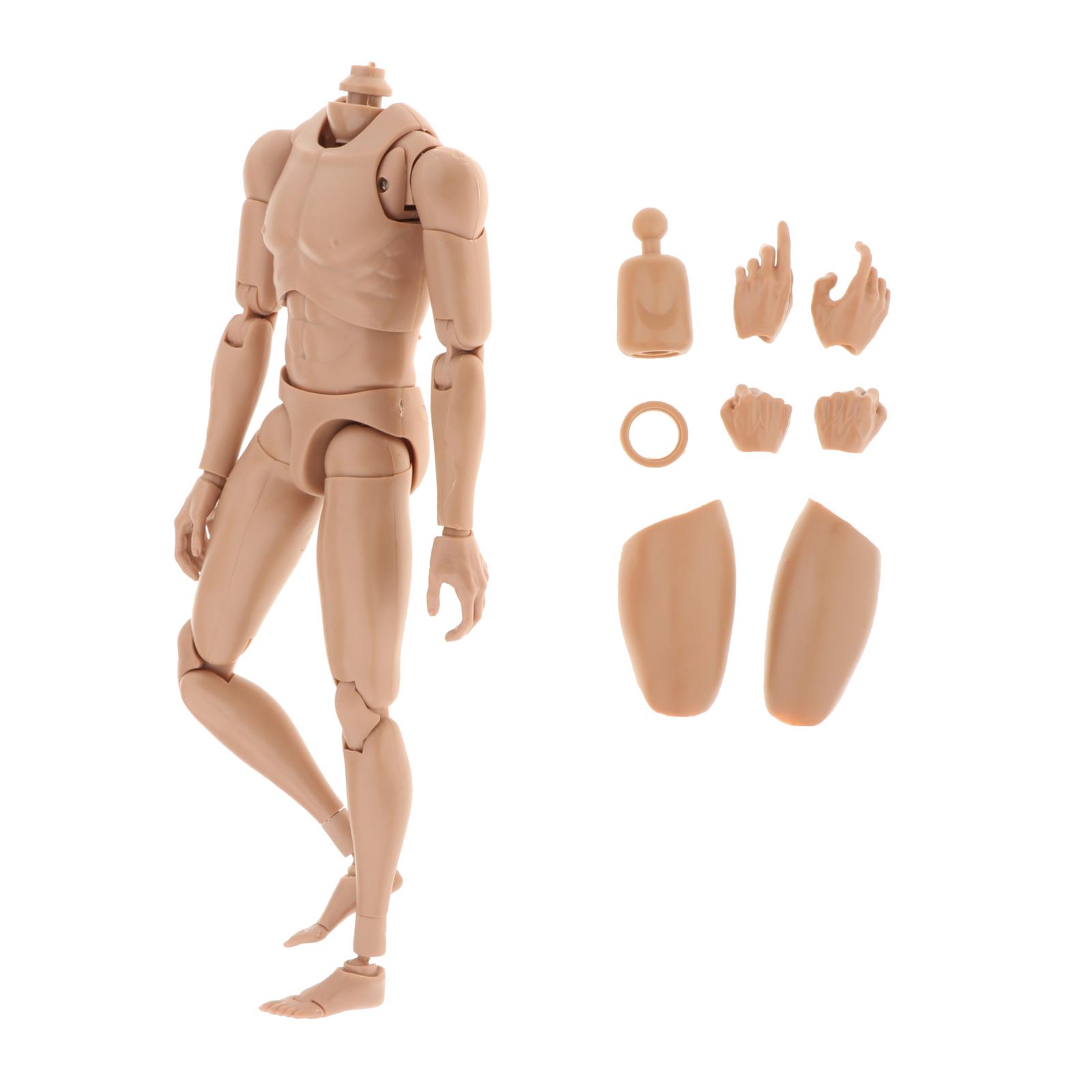 1/6 Scale Male Action Figure 12 Inch Jointed-Figure Muscle Body with Spare Neck