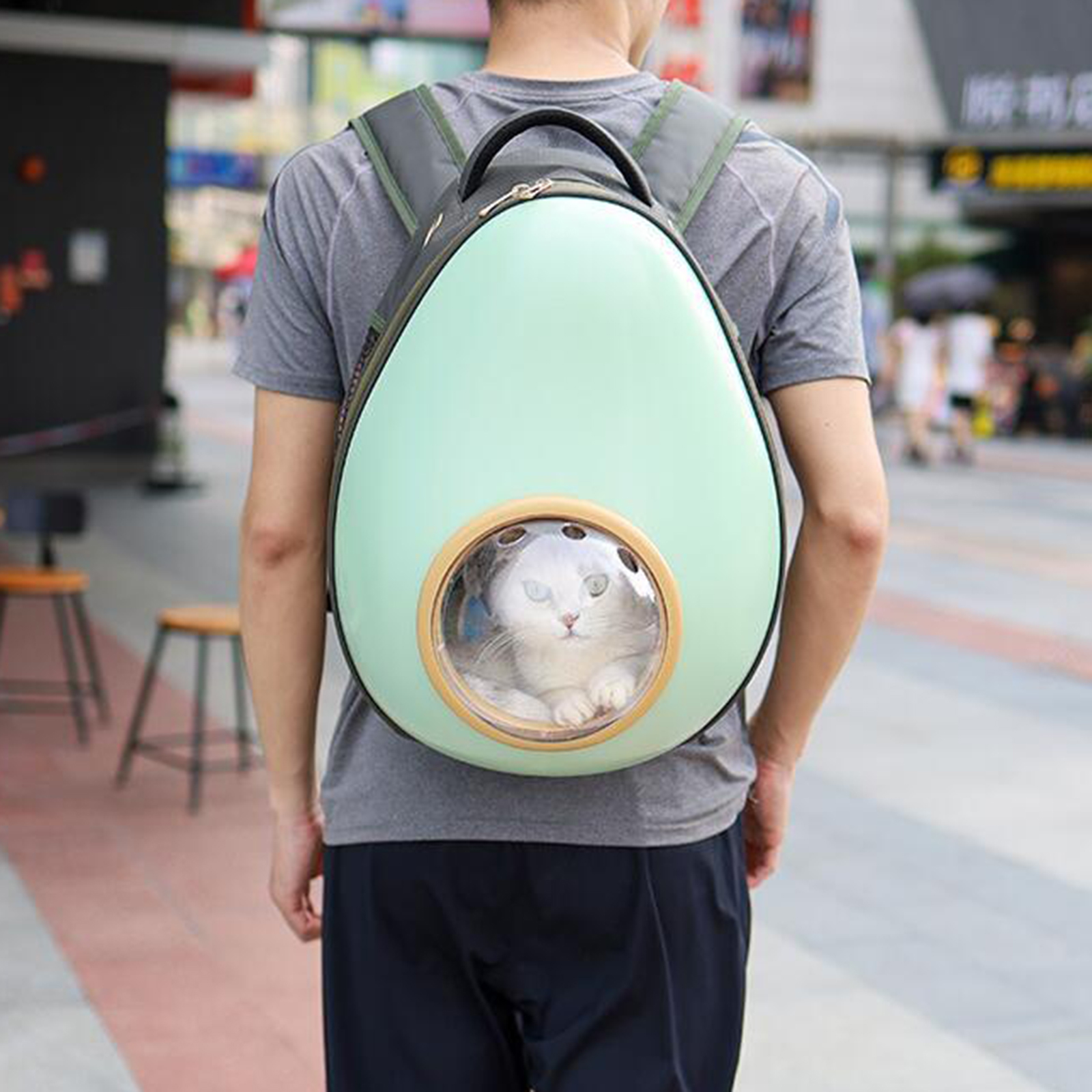 Animal de estimação portador mochila astronauta espaço