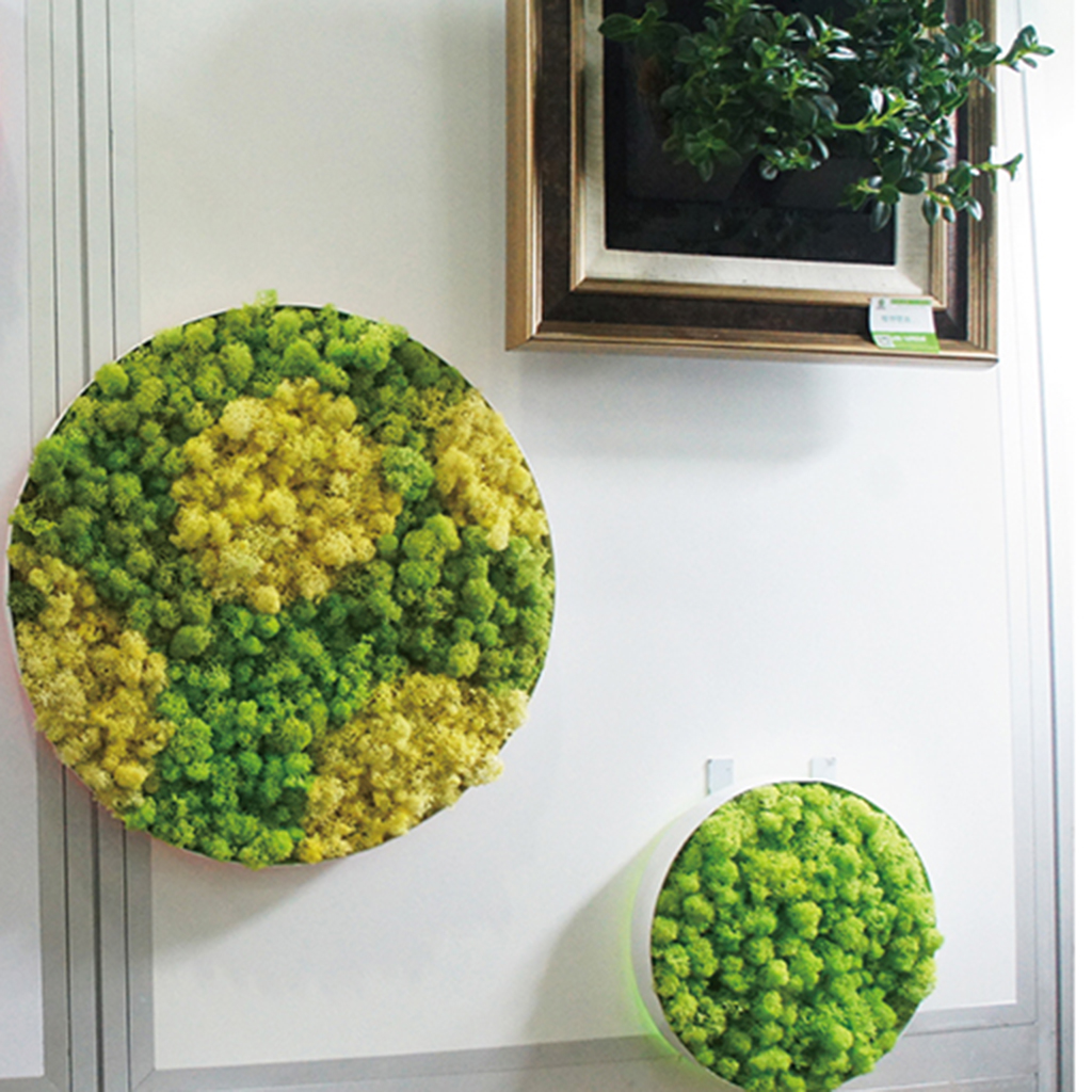 Wall Fake Decorative Moss Realistic Ornaments For Bedroom Decoration Gifts