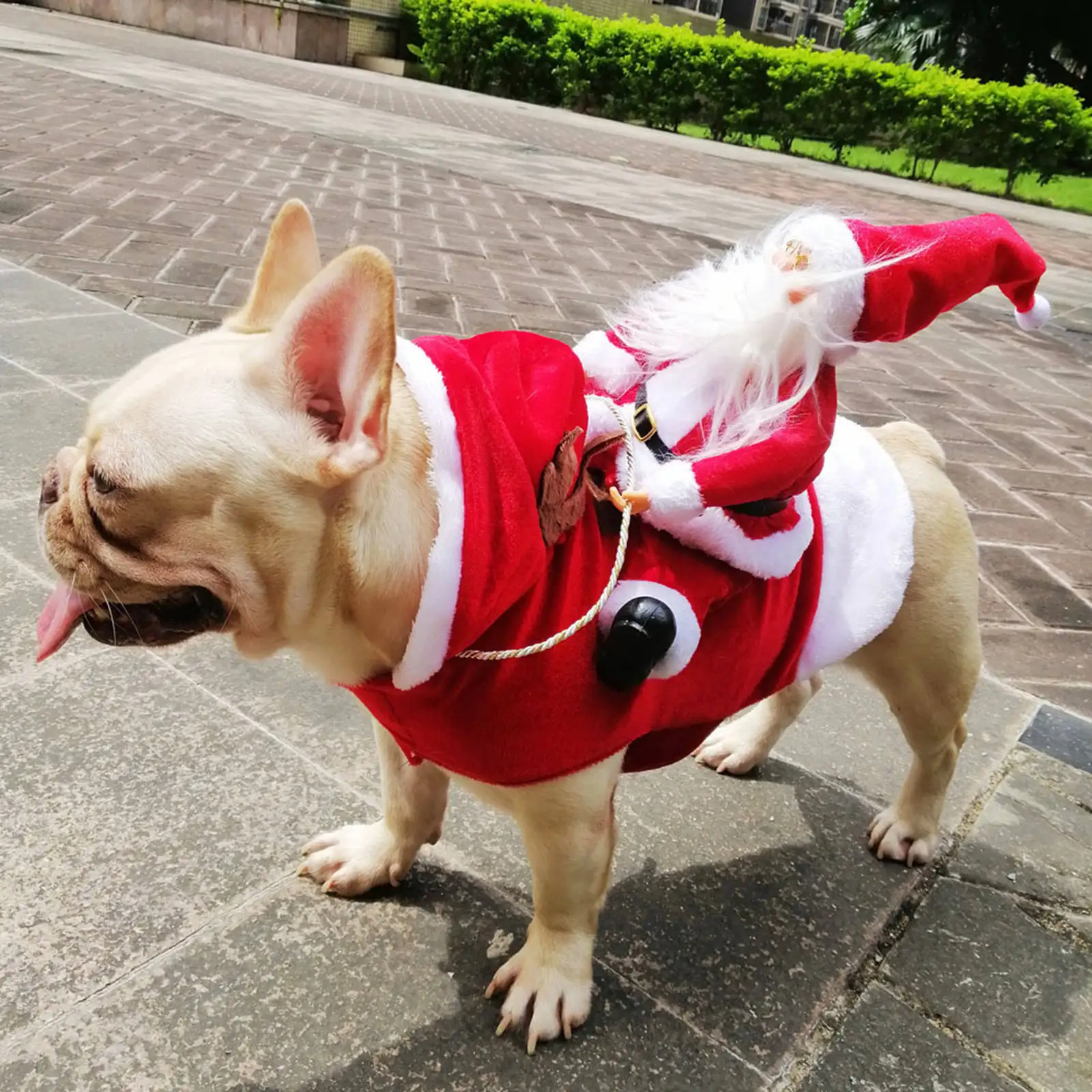 Christmas Outfit Xmas Dog Costumes Christmas Clothes Santa Reindeer