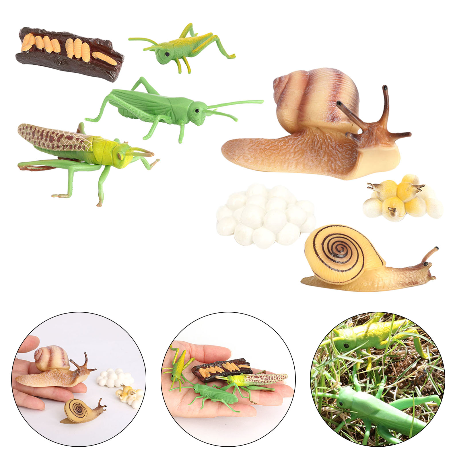 Kids Simulation Animal Figures Toys Grasshopper Snail Growth Process Models