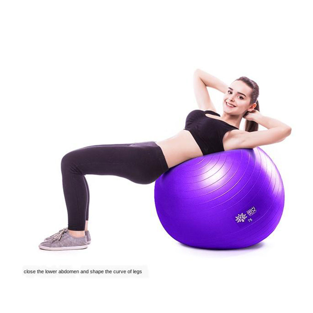 75cm Yoga Ball Anti-burst Thick Stability Sports Exercise Pilates Workout Balls