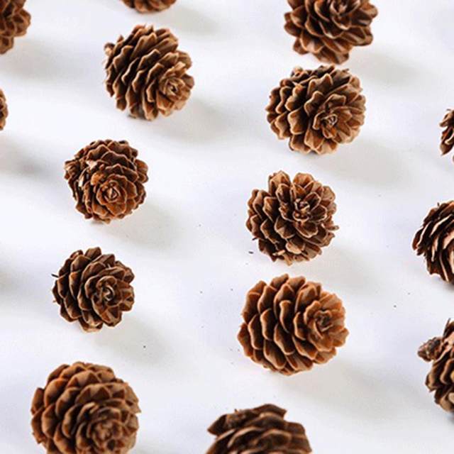 20Pcs Natural Mini Pine Nuts Artificial Fake Pine Cone Decorative DIY  Christmas Tree Pinecone Decoration for Festival 1.5cm-3cm