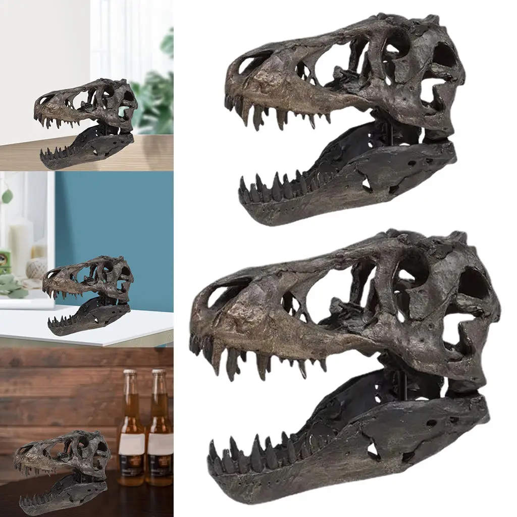 Dinosaur Skull Head Model Creative Figurine Living Room Home Decor Gifts