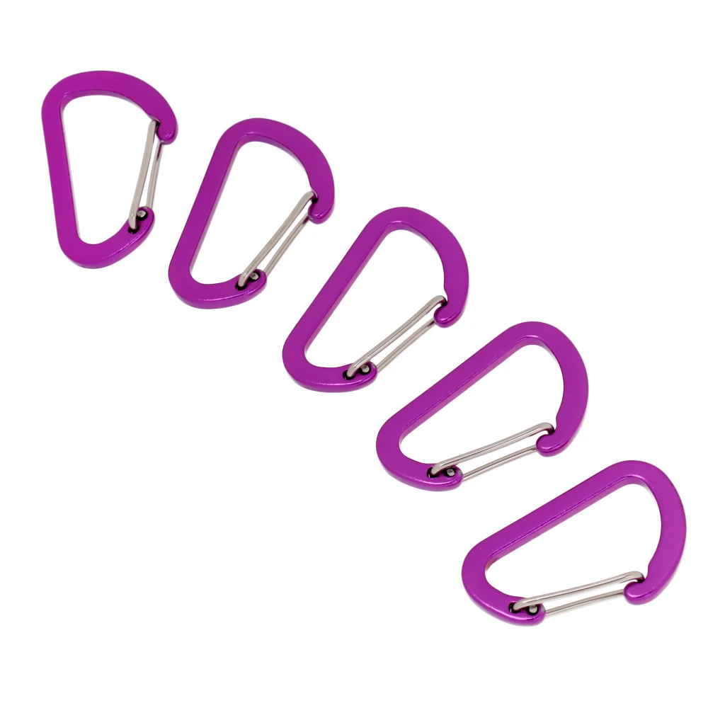 High Quality 5 Piece Outdoor D Ring Carabiner Spring Snap Clip Key Chain Hook Buckle Climbing Caving Hiking Camping Travel