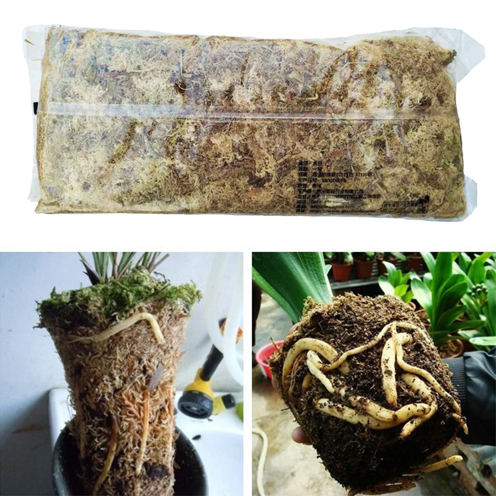 Long Fibered Sphagnum Moss for Soil Free Gardening, Hanging Baskets and Window Boxes