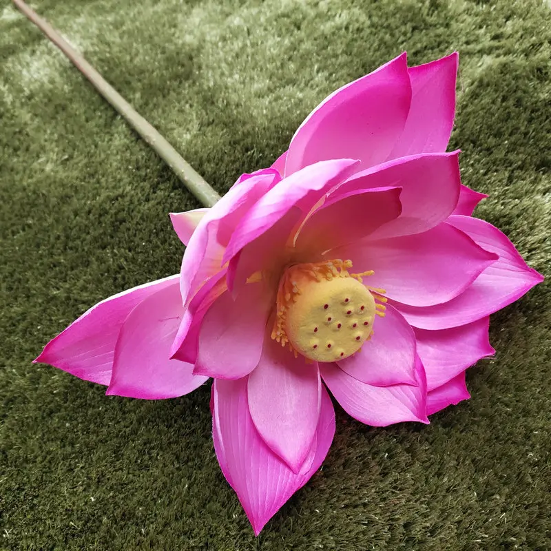 Una hermosa flor rosa con un centro amarillo prominente, que parece ser una flor de loto. La flor está en plena floración, con los pétalos completamente desplegados, dejando al descubierto los estambres y pistilos en el centro.