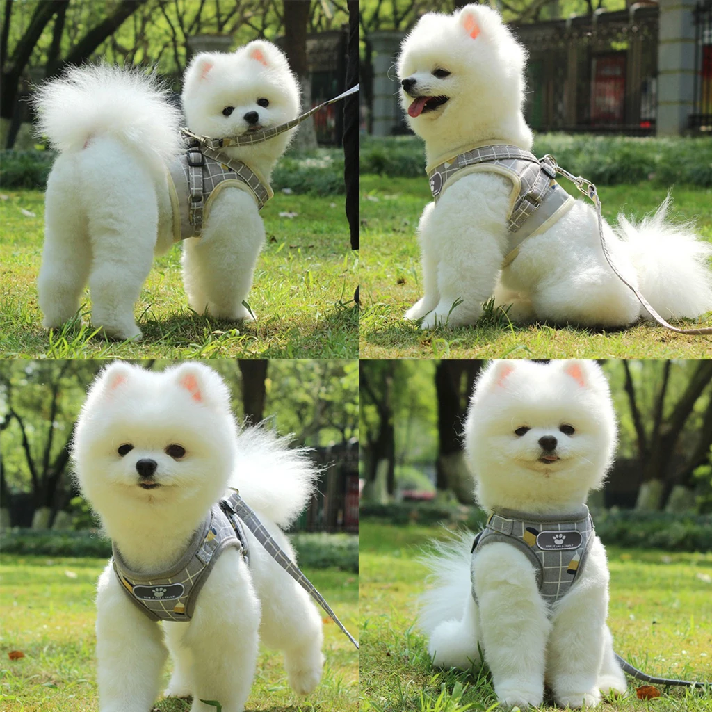 Dog Harness Vest Pet Outdoor Traction Rope Comfortable Dogs Cats Pomeranian