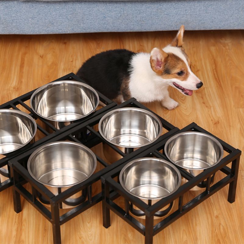 Alimentação p/ cães