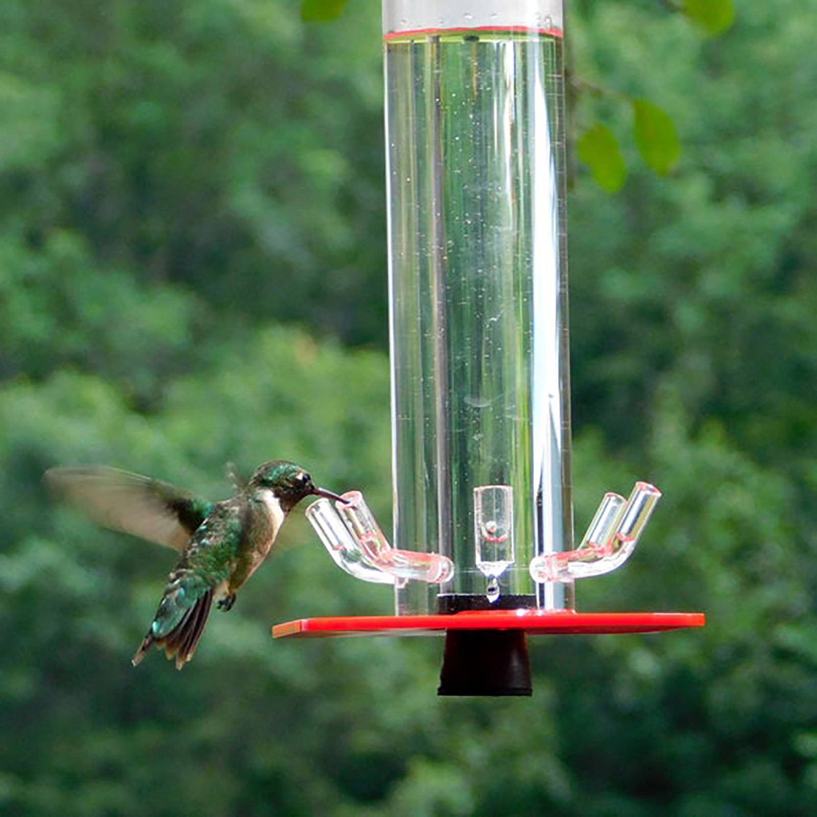 diy window hummingbird feeder