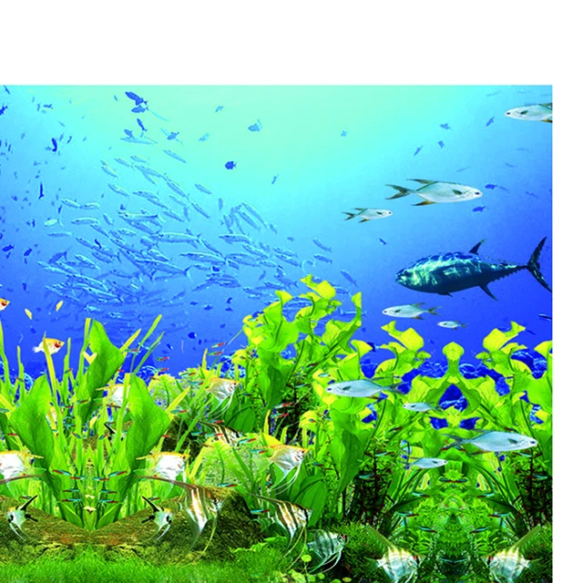 606,886 Aquarium Background Images, Stock Photos & Vectors | Shutterstock
