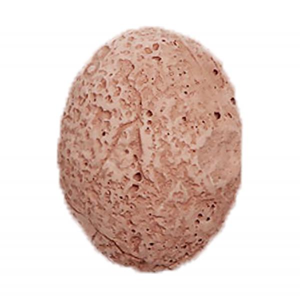 Kids ing Up Dinosaur Fossil Eggs Dinosaur ing Toy Creative Dino Models Activity Archaeology Educational Toy Crafts