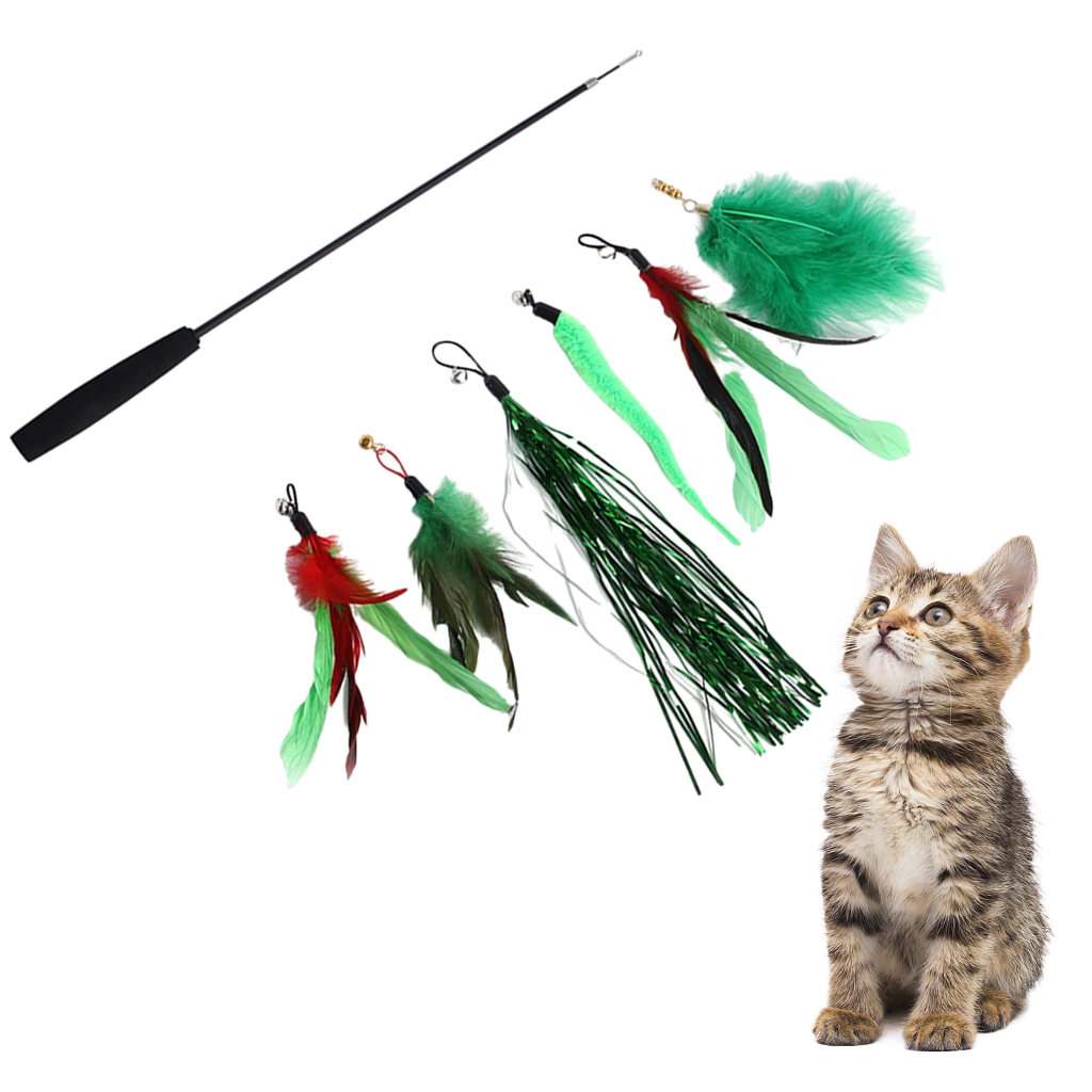 Interactive Cat Teaser Wand Kitten Stick with 6 Piece Play Attachments Toy