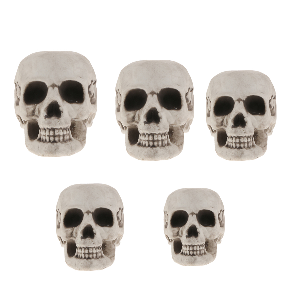 Plastic Skull Head Figurine Skeleton Model Statue Halloween Decoration Indoor Outdoor Home Table Desk Ornament Shop Display