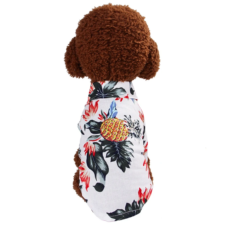 Beautifull-Summer-Beach-Clothes-For-Any-Dog-Breed
