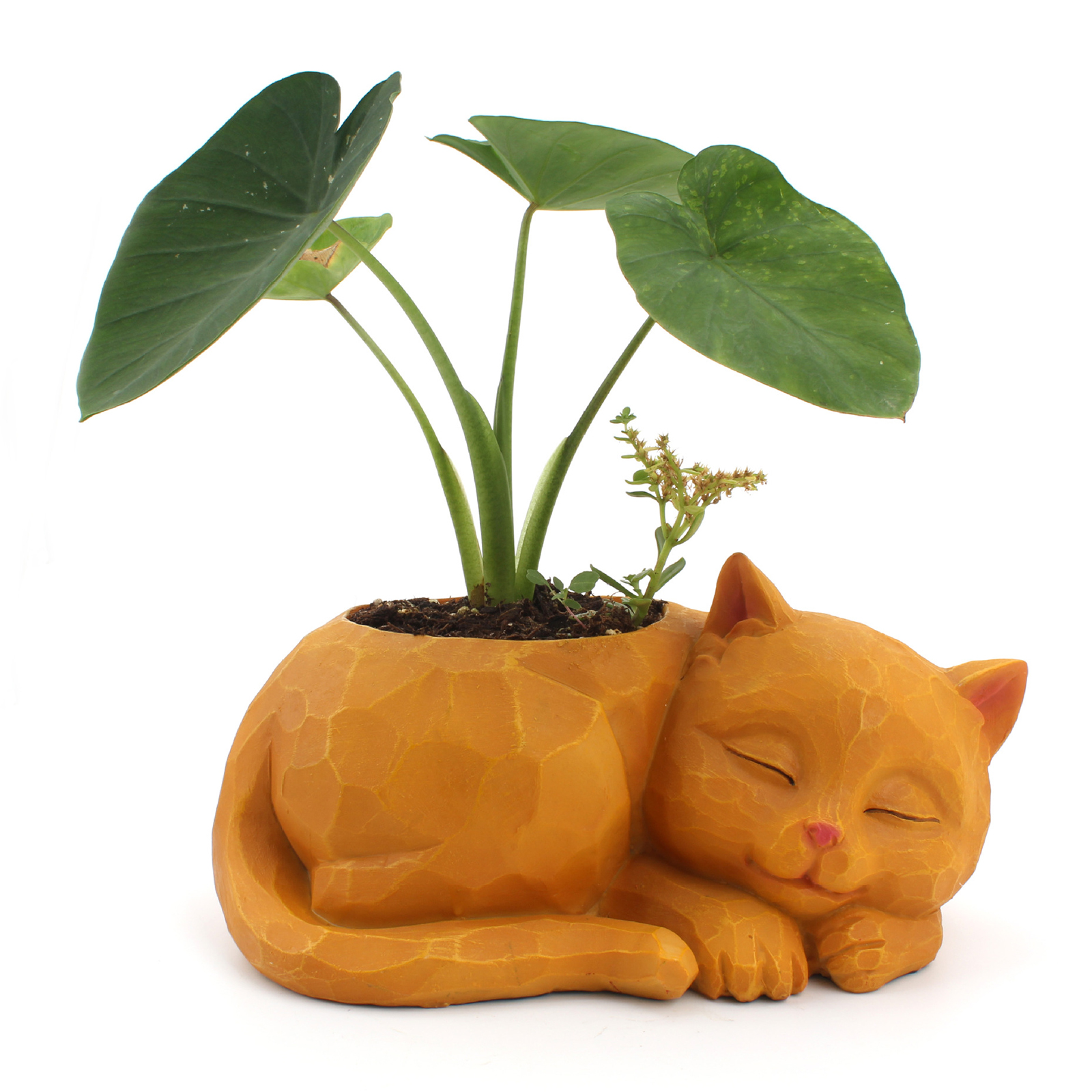 Lovely Sleeping Cat Succulent Cactus Flowerpot Resin Herb Planter Container for Home Office Decoration