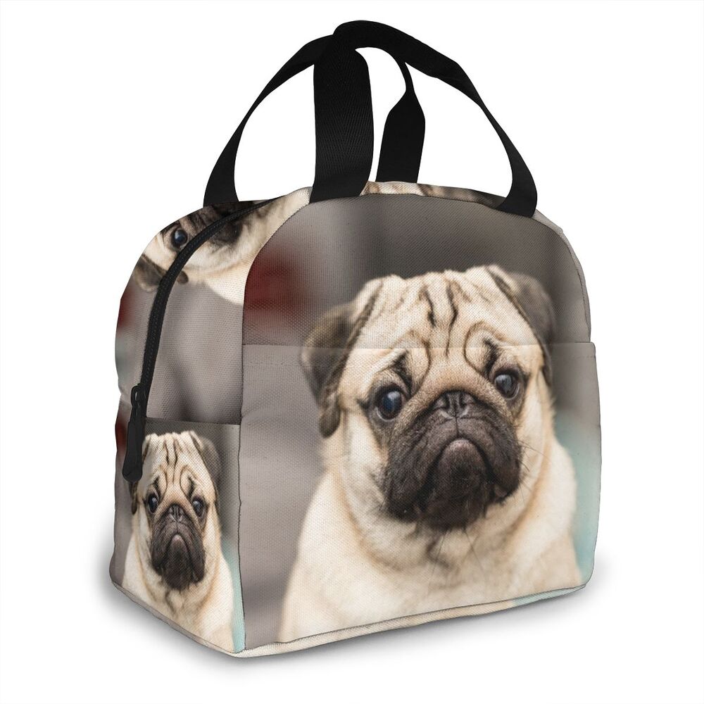 Bolsas p almoço