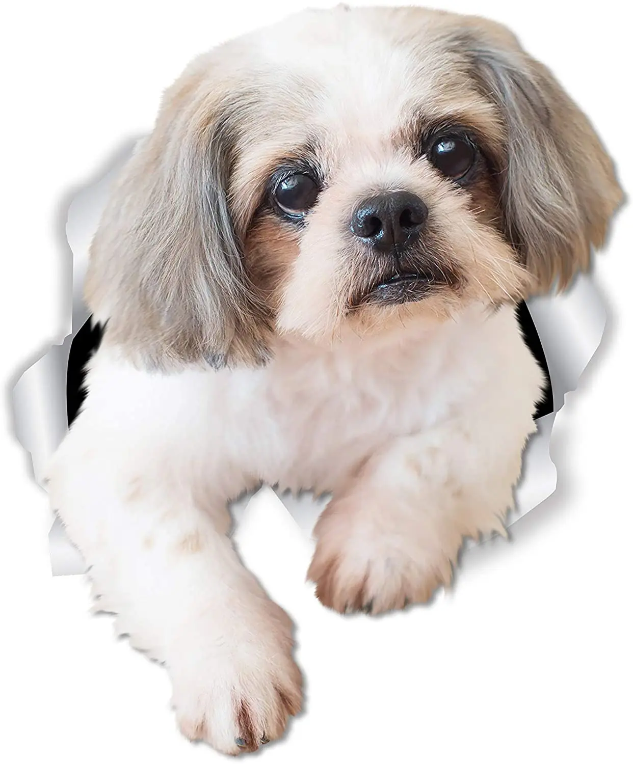 Shih Tzu In Heart Decal Dog Sticker Outdoor Grade Vinyl AnyColour Buy 2 Get1Free 