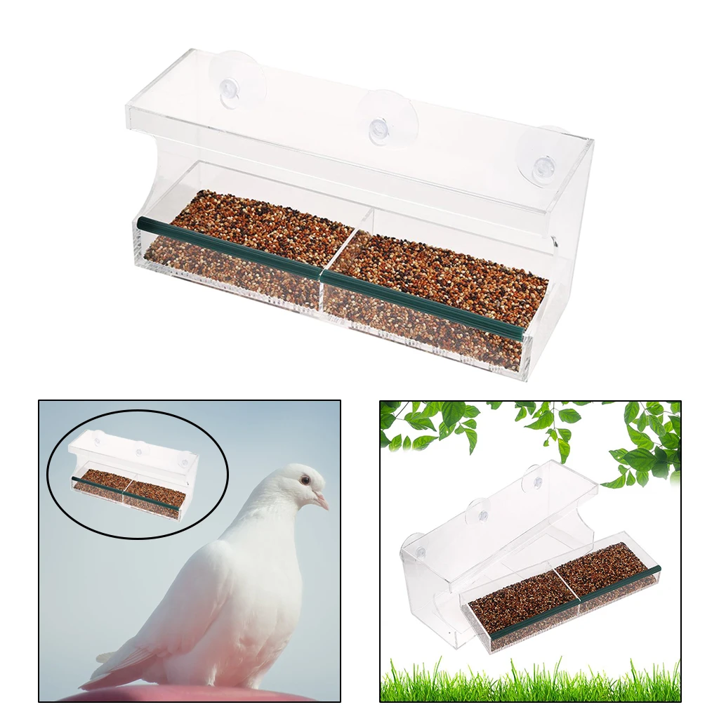 Window Bird Feeder Acrylic Wild Hanging Suction Perspex Clear Viewing Seed