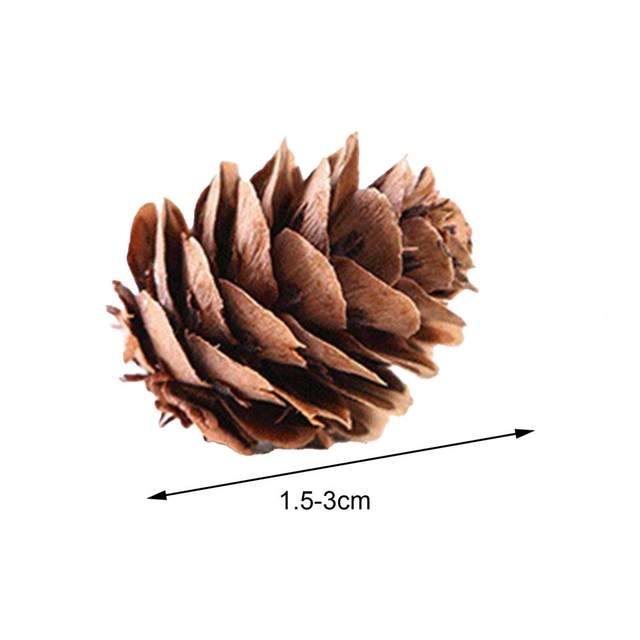 Natural Mini Pine Nuts Artificial Fake Pine Cone Decorative DIY Christmas  Tree Pinecone Decoration for Festival - AliExpress