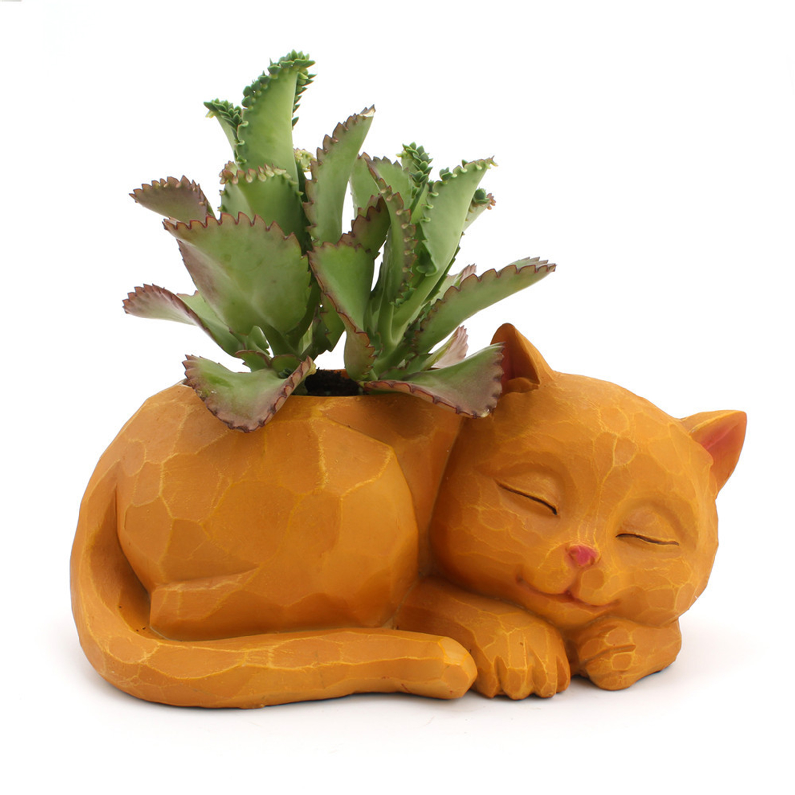 Lovely Sleeping Cat Succulent Cactus Flowerpot Resin Herb Planter Container for Home Office Decoration