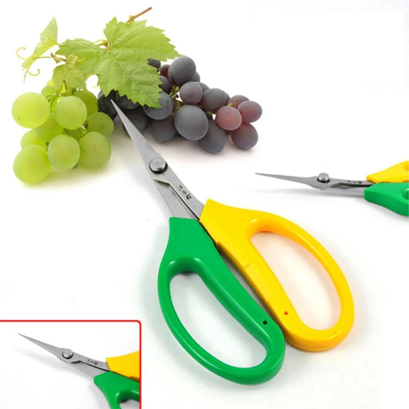Multifunctional Alice Garden Scissors Sturdy Garden Fruit and Grape Pruning G32A grass strimmer
