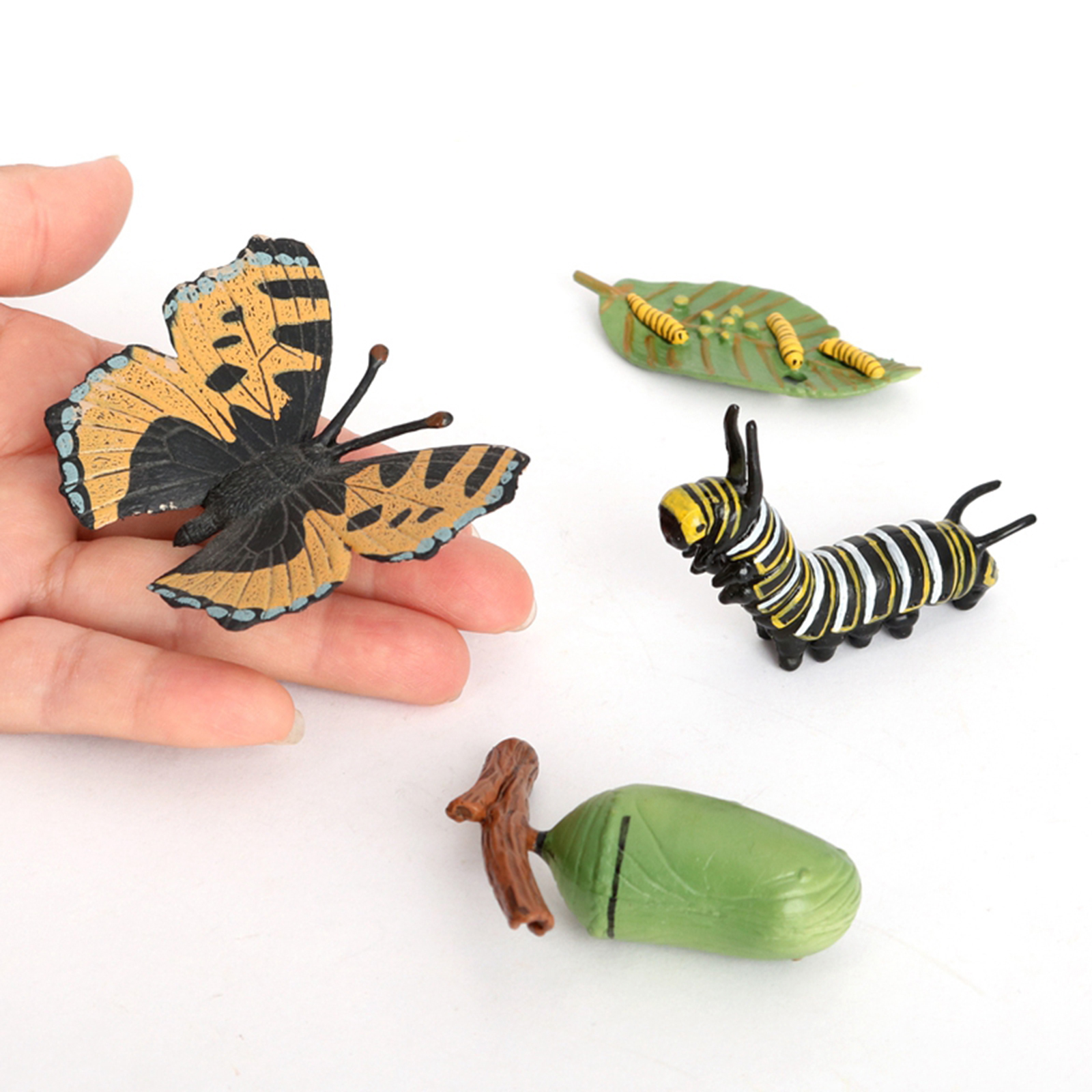 4 Piece Life Cycle Figures, Insects Plastic Butterfly Toy Figure - Authentic Hand Painted Model