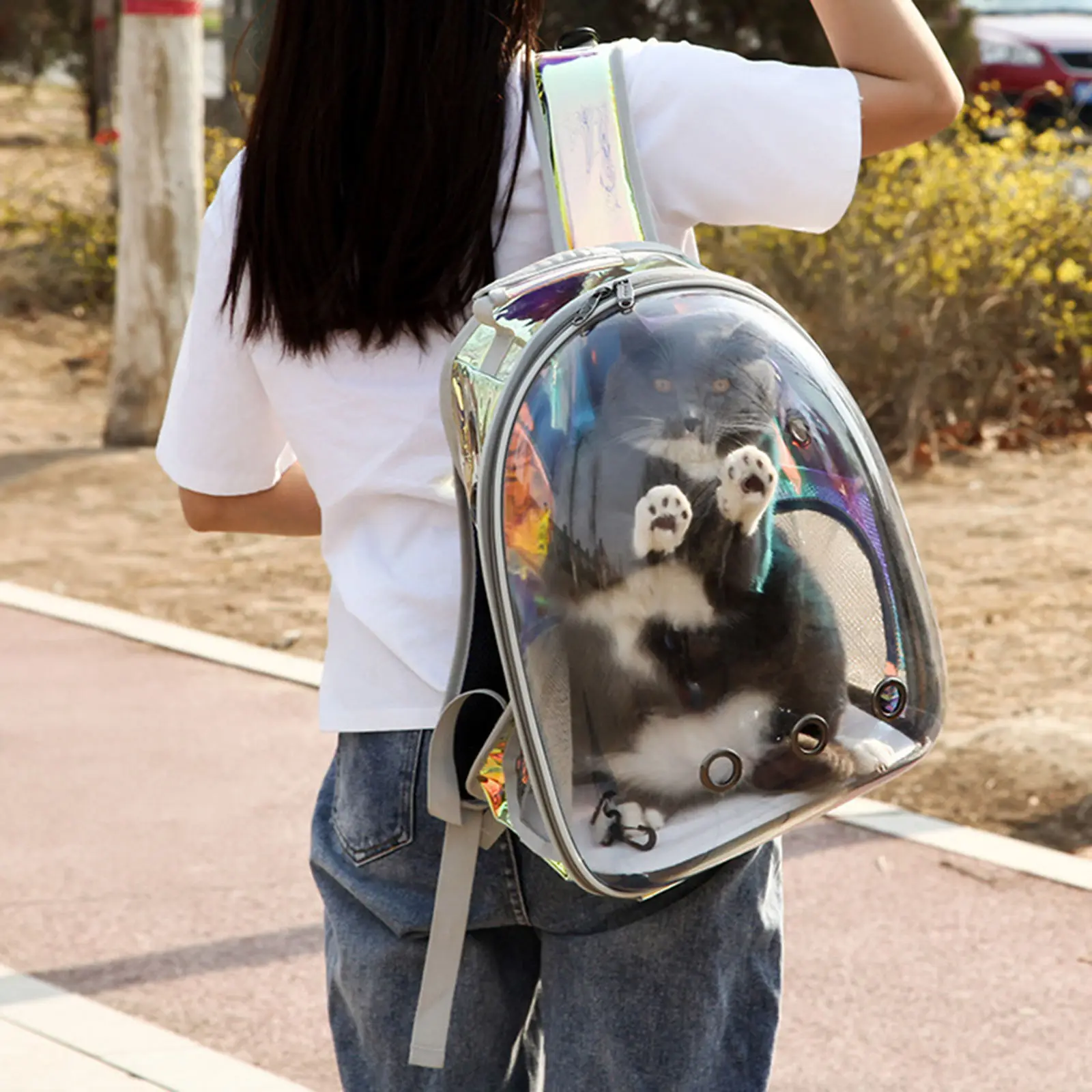 Dog Cat Pet Carrier Backpack Large Kitten Space Capsule Bubble Carry Travel