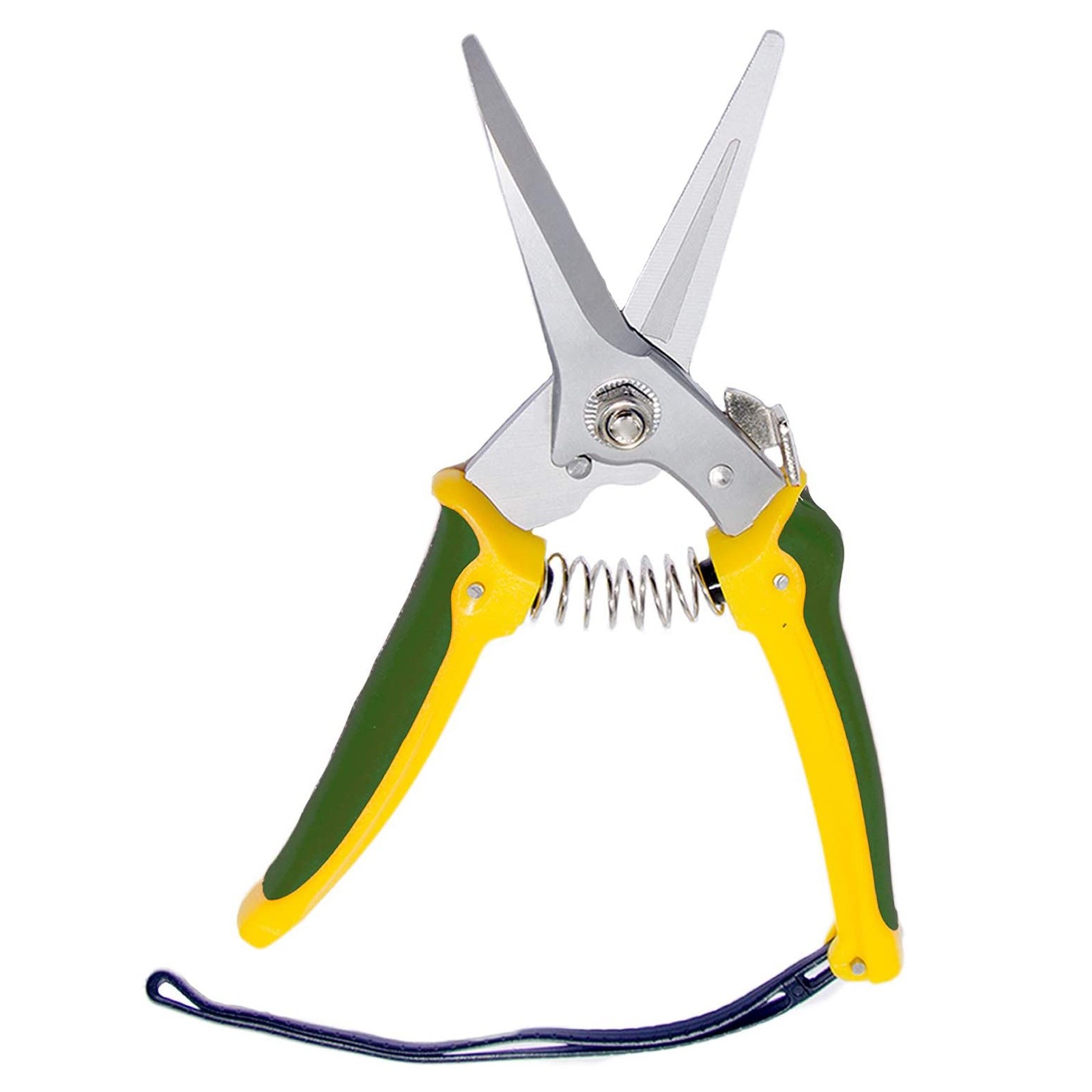 Title 6, Plants Shears Specialists Resistant Foot Rots S...