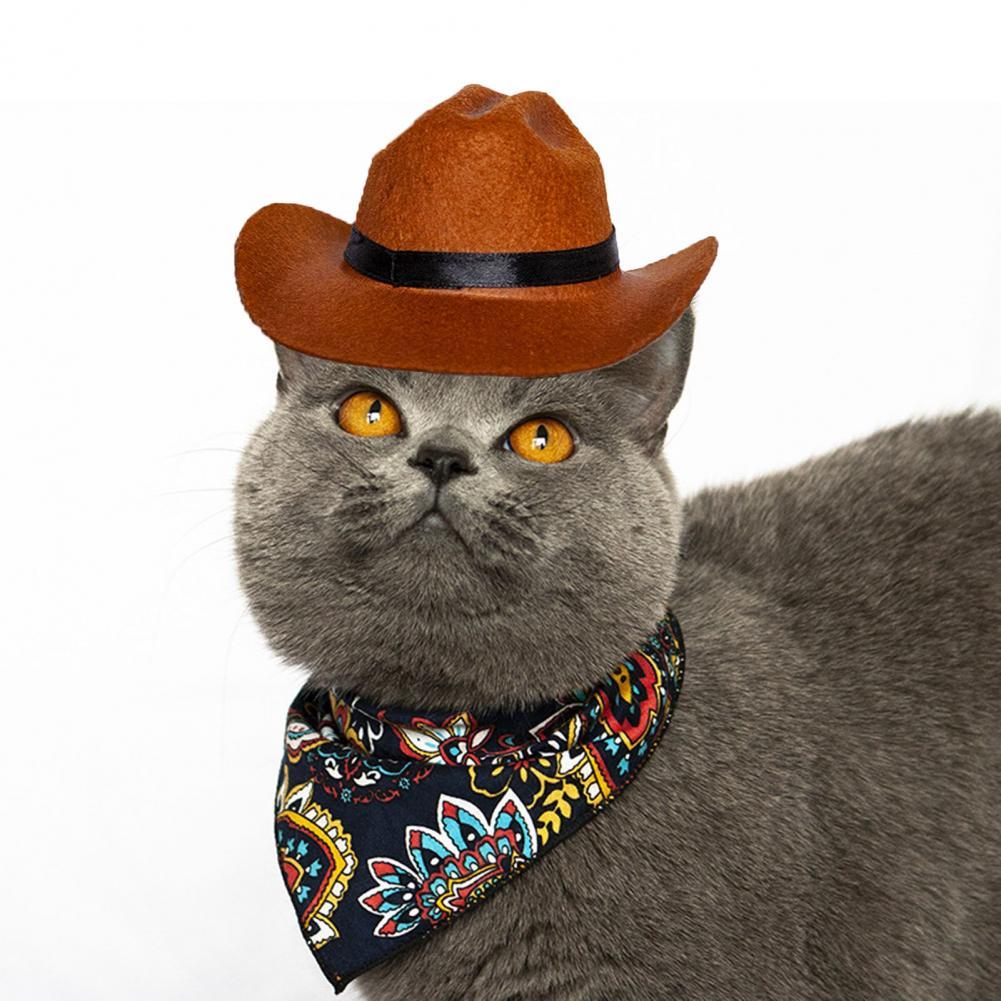 tiny cowboy hat for cat