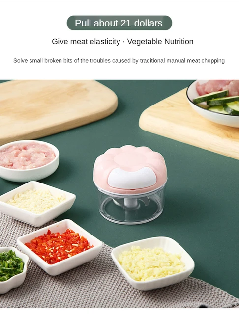 MORGIANA Mini Food Chopper, Manual Vegetable Grinder for Garlic