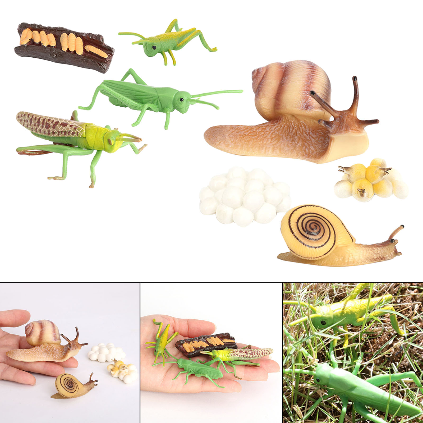 Kids Simulation Animal Figures Toys Grasshopper Snail Growth Process Models