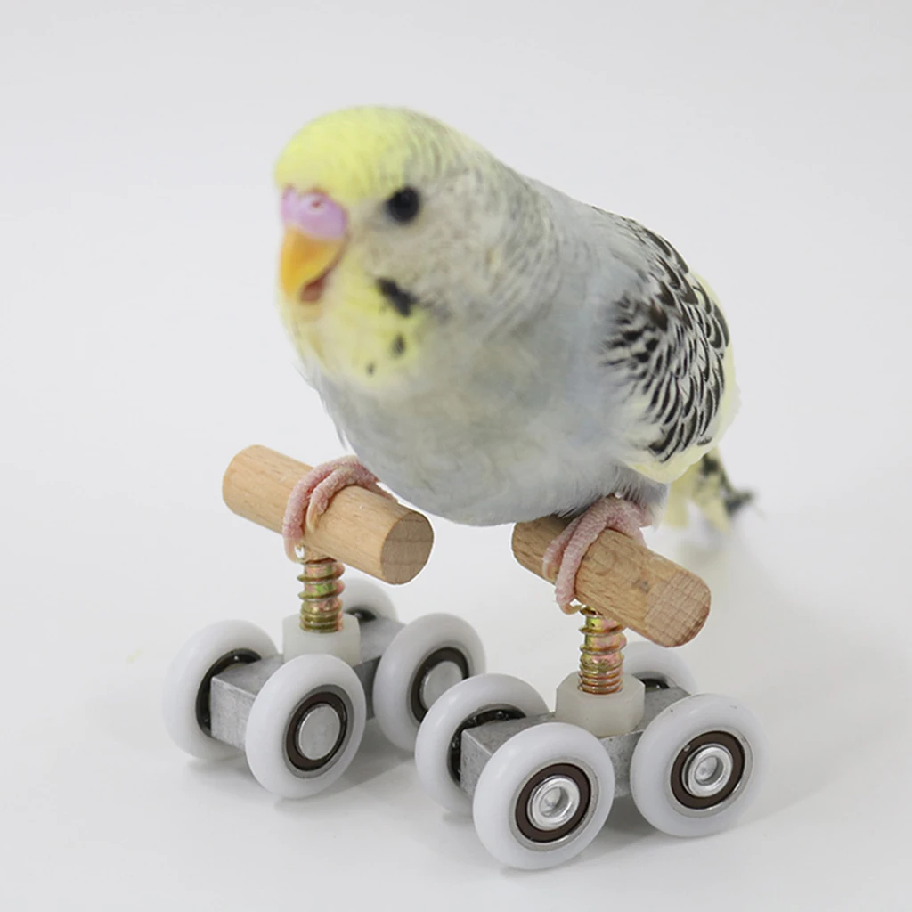 Playground Parrot Mini Roller Skates Training Toys Bird Budgerigar Foot Toy