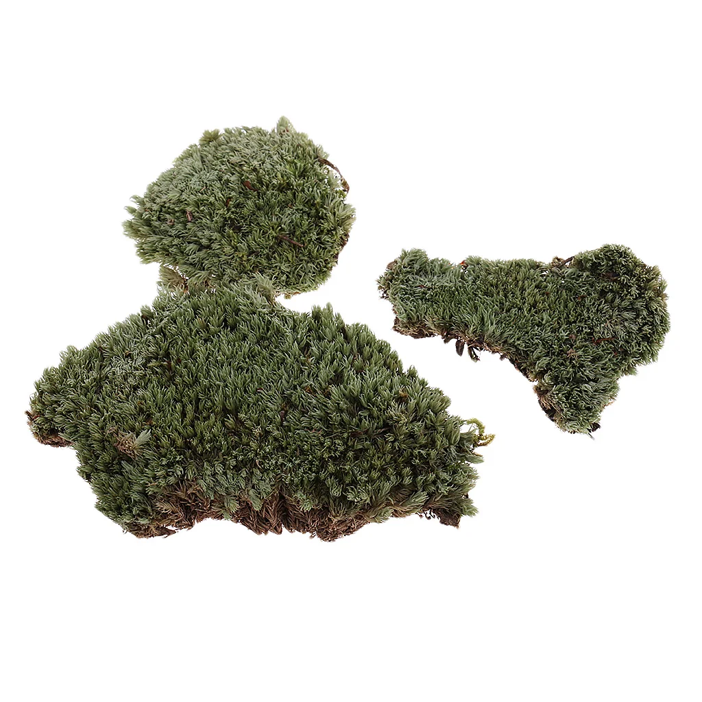 Green Lichen Moss Model Layout for 1/35 Scale Military Armor Landscape Props