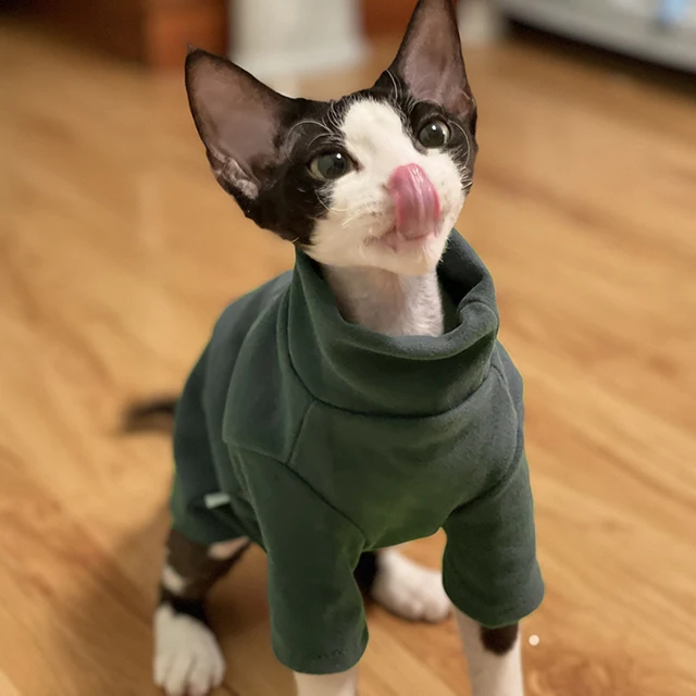 DUOMASUMI Sphynx Clothes Classic Sweater Fall Winter Warm Kitty Outftis  Hairless Cat Clothes Devon Cornish Designer Cat Clothes - AliExpress
