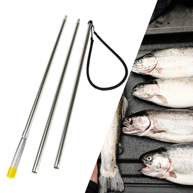 JINGYU-Professional Spring Steel Fishing Harpoon Spear Gun, 4x Teeth for  Ice Fishing Spear Fish - AliExpress