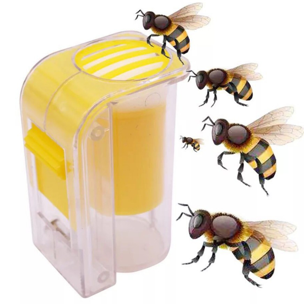 Beekeeper accessories set drawing piston queen Marking with bottle height of
