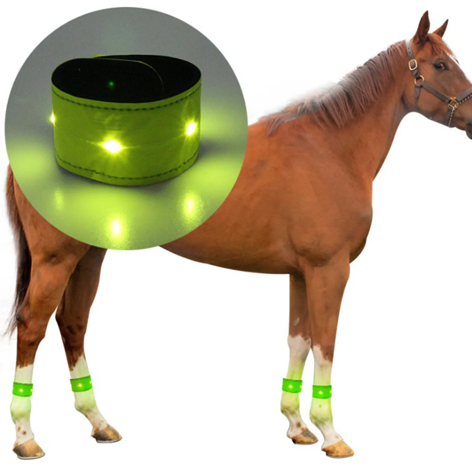 Equestrian LED Luminous Horse Leg Strap Safety Warning Belts Dogs Cats Men Women