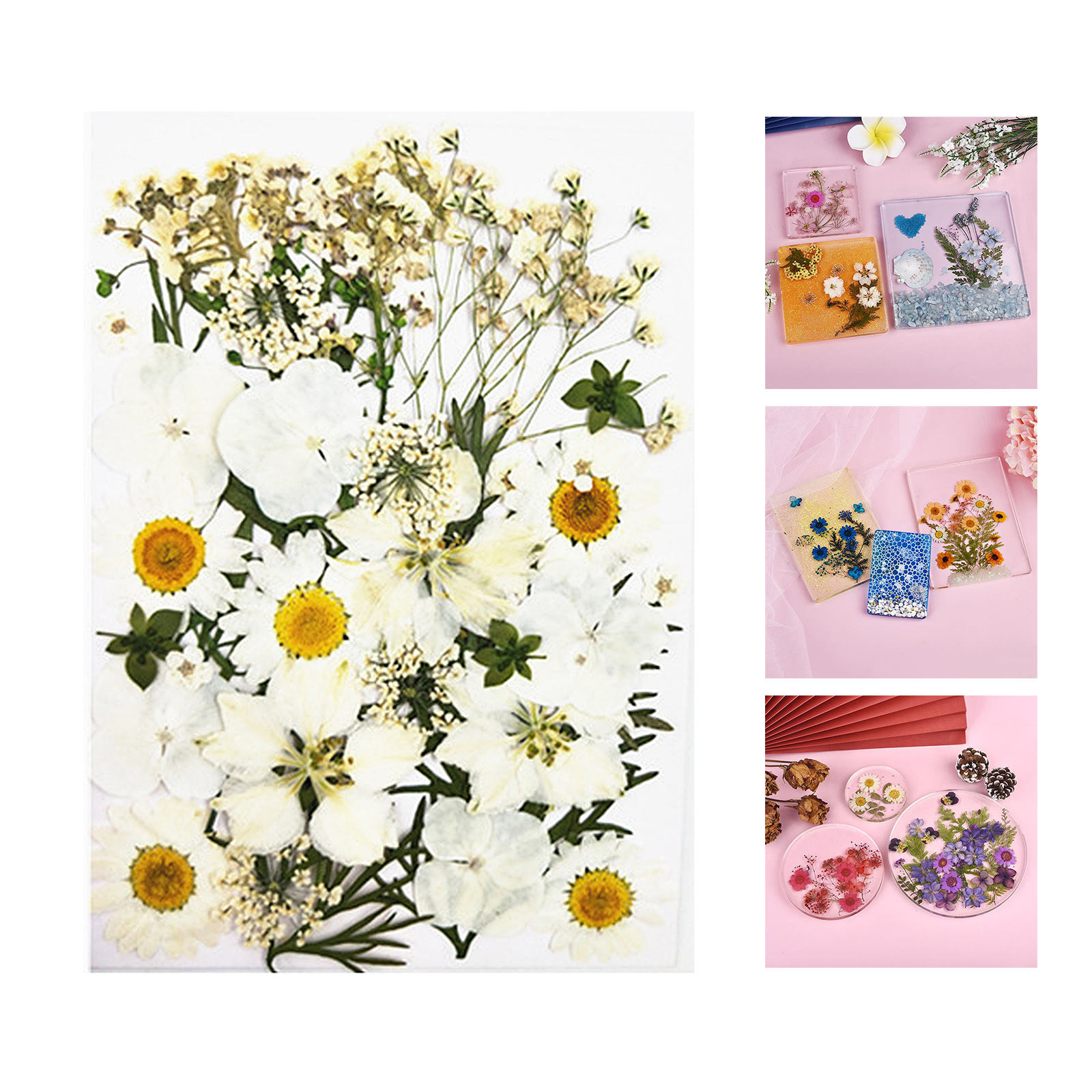 Real Natural Mixed Dried Pressed Flowers Leaves Petals for Nail Art, DIY Jewelry Design, Resin Phone Case,  Card, Stationery