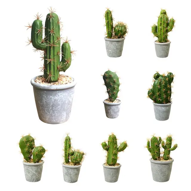 Gefälschte Topfpflanzen Kaktus Weit Gebrauch Künstliche Kaktus Exquisite  Kein Verblassen Simulation Anlage Topf Einfache Kaktus Garten Dekoration -  AliExpress