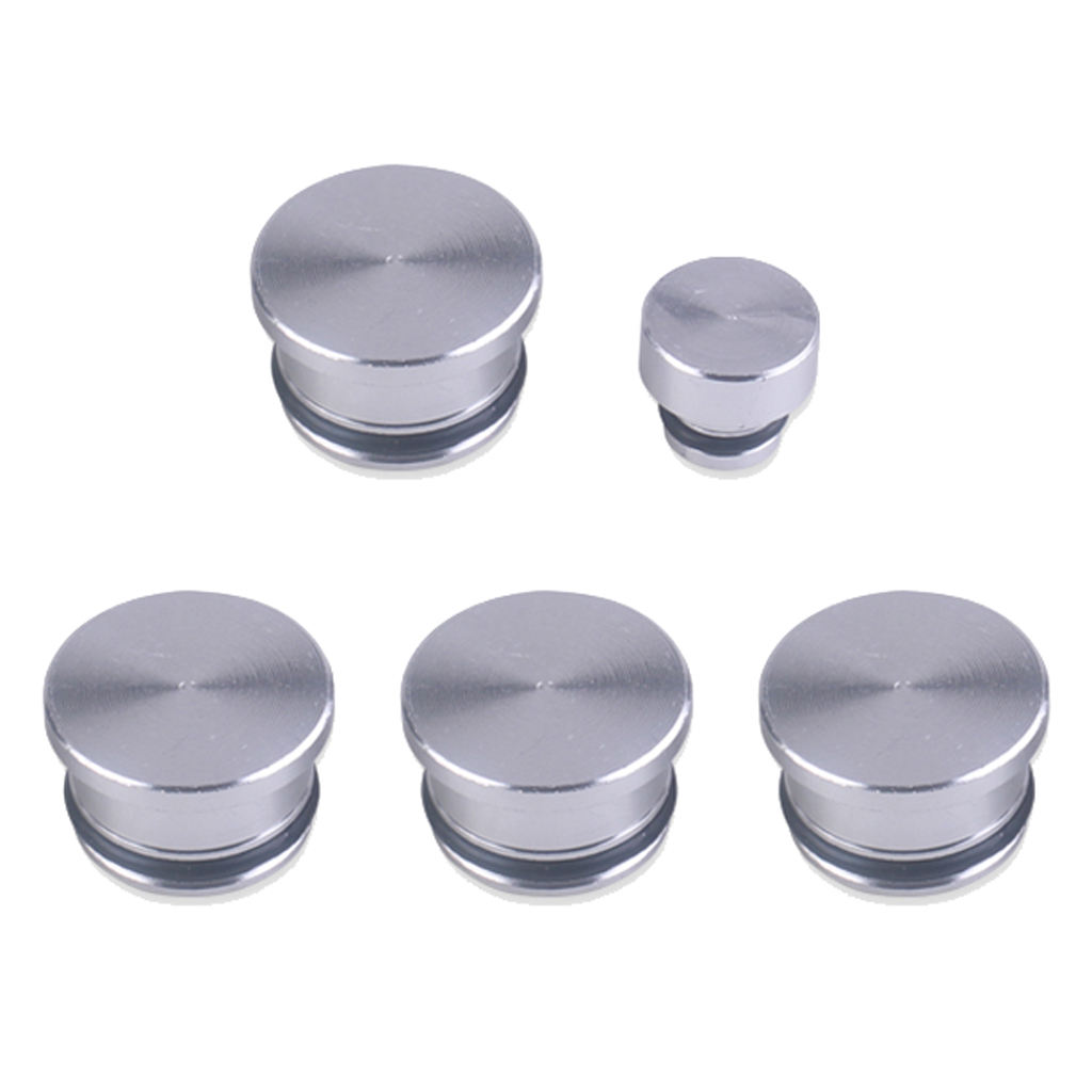 Inlet Manifold Swirl Flap Blanks for Vauxhall SAAB 1.9 Z19DTH, 5 pcs /set (Includes O ring)