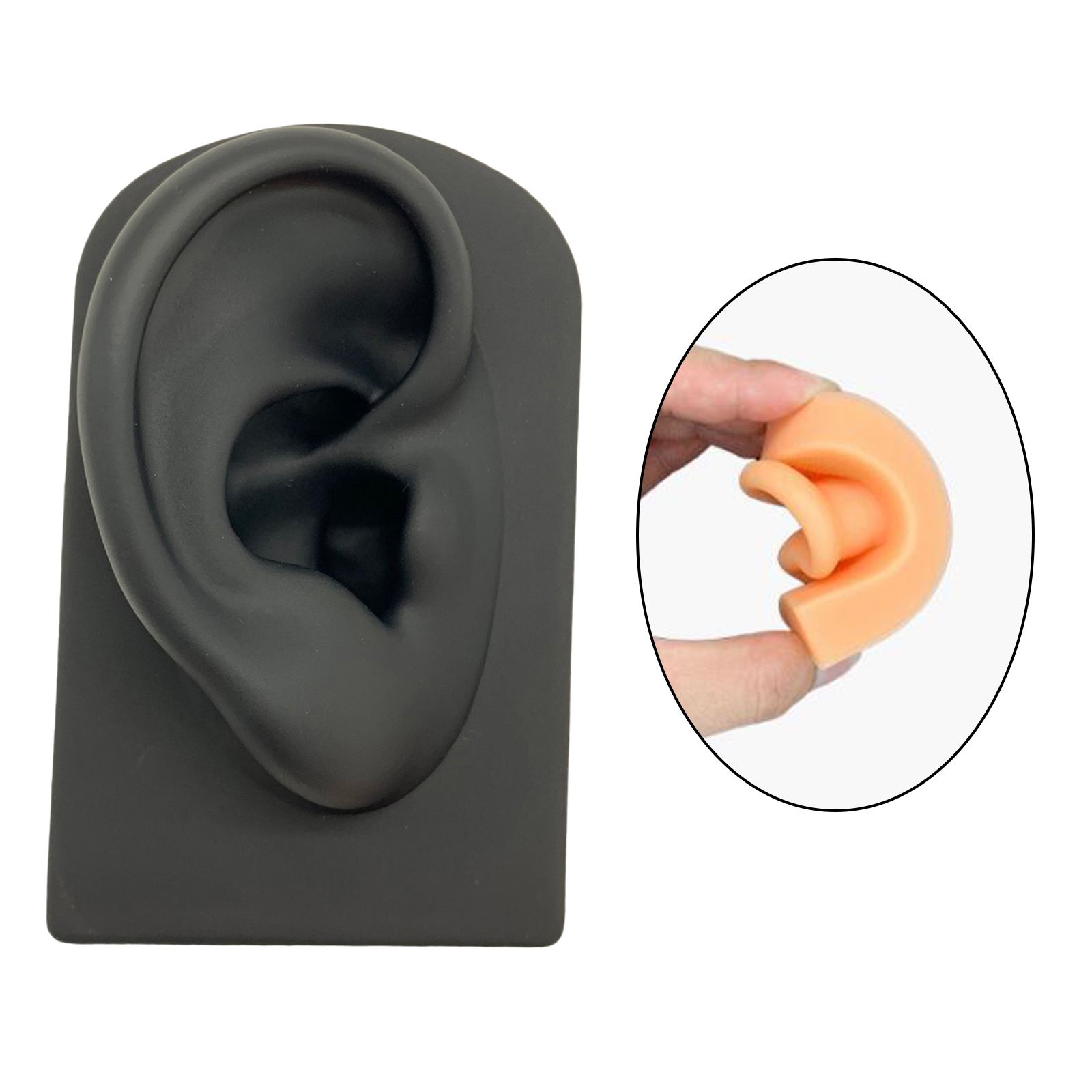 Ear Model Human Body Part Model Simulation Silicone Artificial Ear Model Soft Silicone Human Ear Model