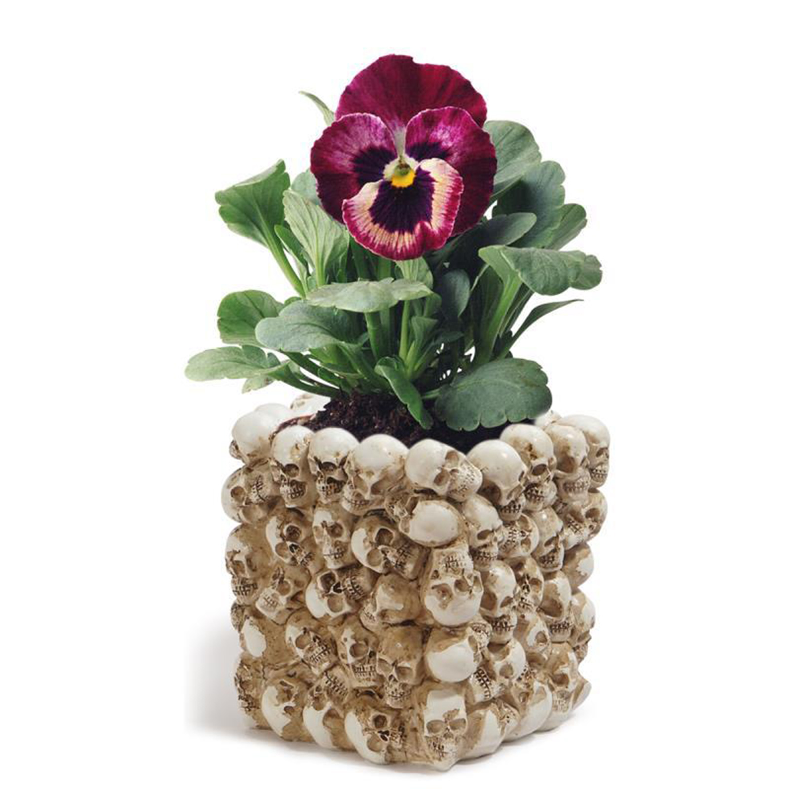Resin Skull Model Flower Pot Office Supplies Storage Container Succulent Flower Pot Home Decoration Crafts