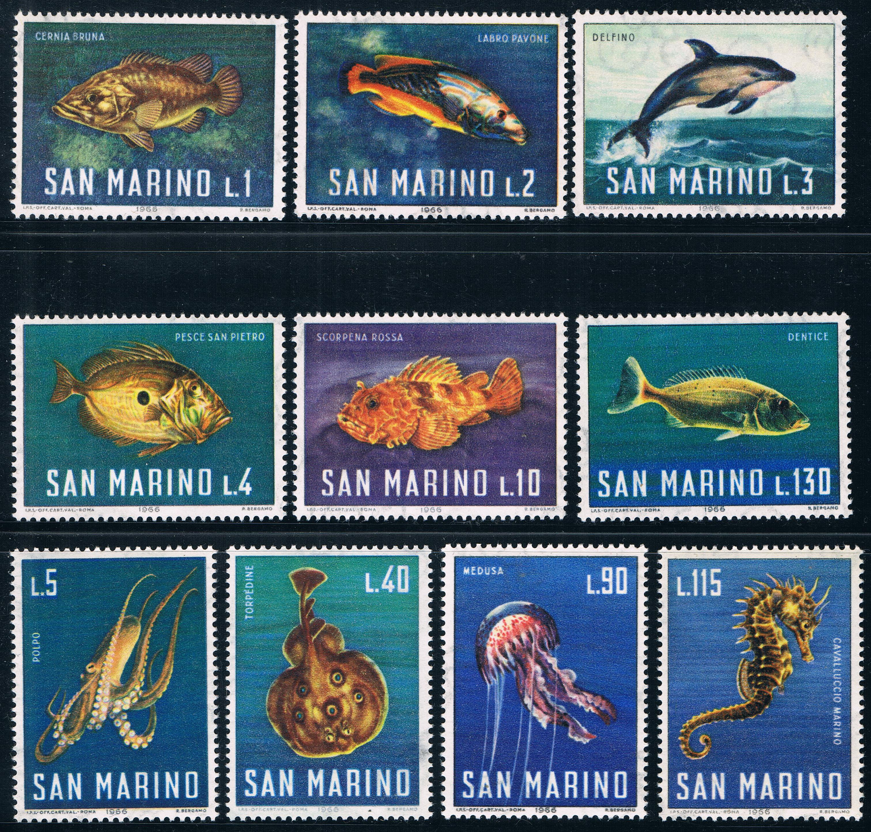 10Pcs/Set New San Marino Post Stamp 1966 Marine Ocean Animals Stamps MNH