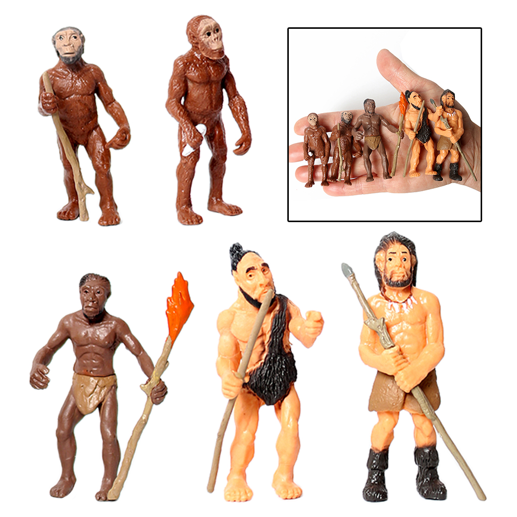 Educational Toys Primitive Human Model Science Educational Home Office Decor