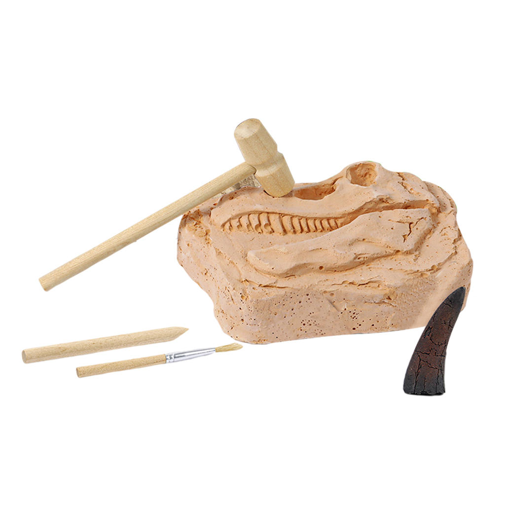 Dino Tooth DIY Dinosaur  Excavation Toys for Inspire Imagination