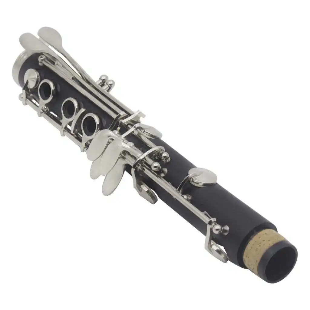 BQLZR New Bb Clarinet Woodwind Instrument 17 Pads 